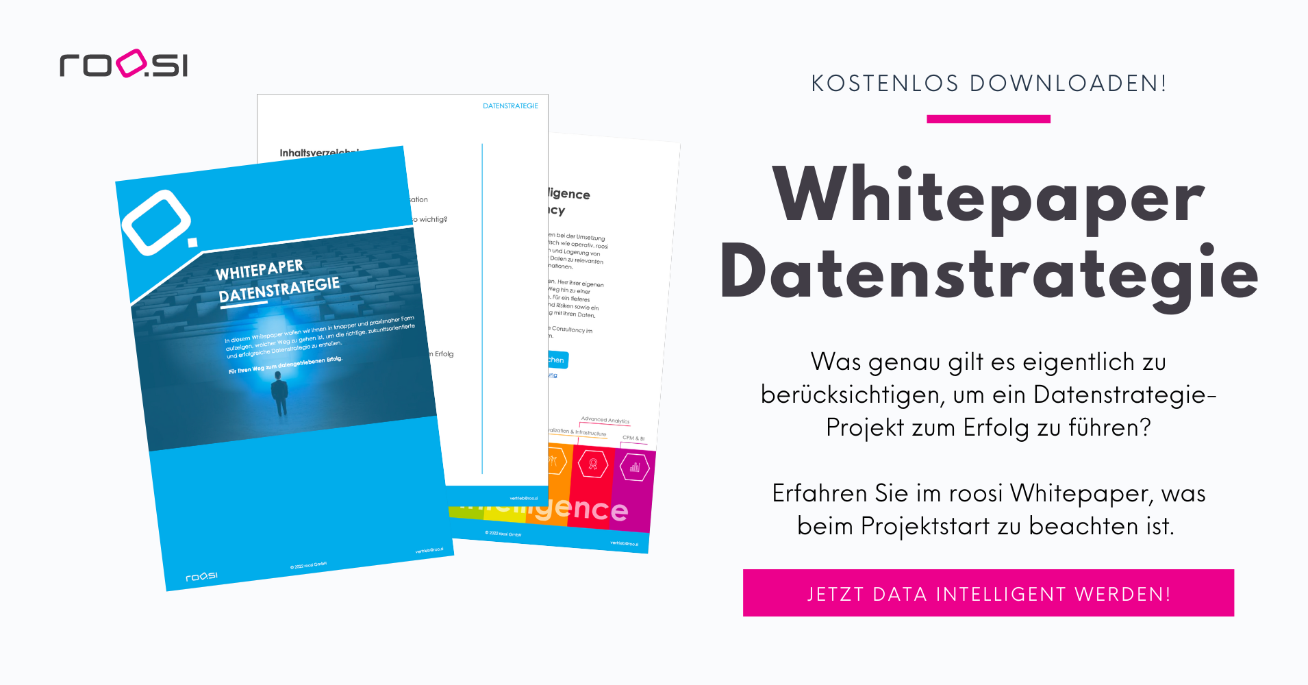 roosi_whitepaper_datenstrategie